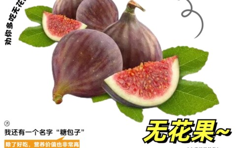 干姜黑豆功效与作用及禁忌症-生姜黑豆的功效和药用-黑豆加姜干,中国干姜黑豆功效与作用及禁忌网站