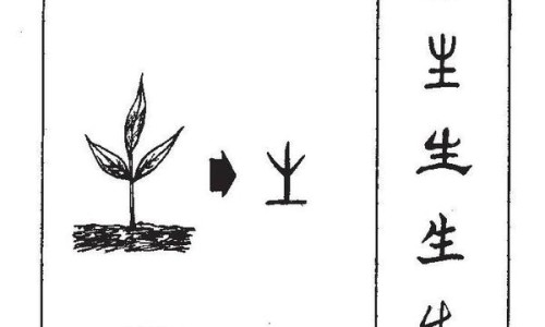 干姜黑豆功效与作用及禁忌症-生姜黑豆的功效和药用-黑豆加姜干,中国干姜黑豆功效与作用及禁忌网站